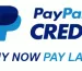 paypal-pay-later